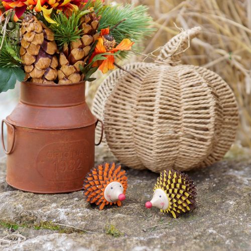 Artikel Egel decoratief houten decoratiefiguur herfst oranje geel 8×7×6cm 4st