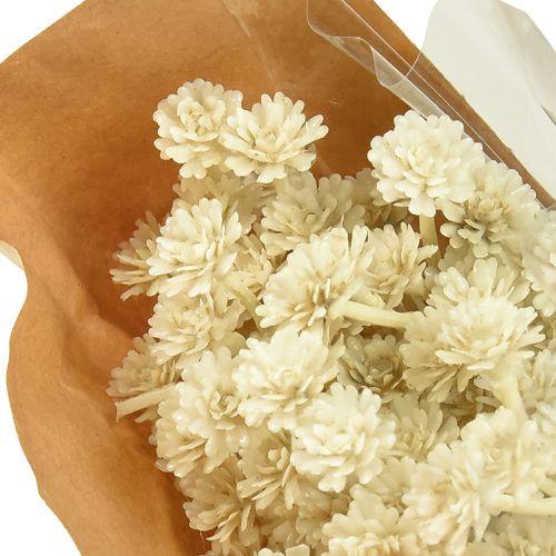 Artikel Kunstcurrykruid wit beige L28cm 12 stuks 1 bos
