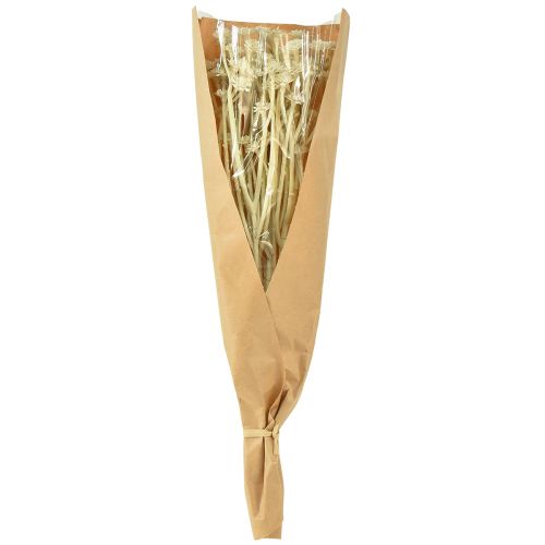 Artikel Kunstcurrykruid wit beige L28cm 12 stuks 1 bos