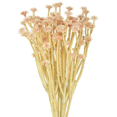 Italiaanse Strobloem Kunstbloemen Roze L28cm