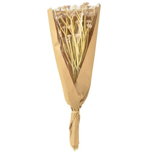Artikel Italiaanse Strobloem Kunstbloemen Roze L28cm