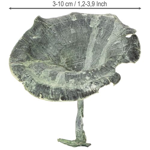Artikel Kalix Mushroom Green, White Washed 100 stuks