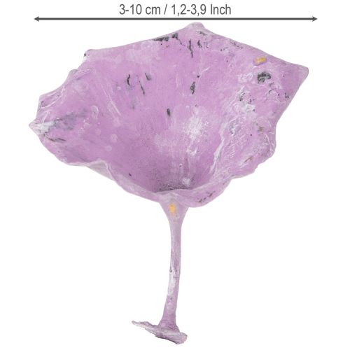 Artikel Kalix Paddenstoel Paars, Wit Gewassen 100 stuks