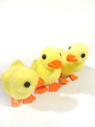 Floristik24 Chick m. Draadvoeten 8cm 12st. geel / oranje
