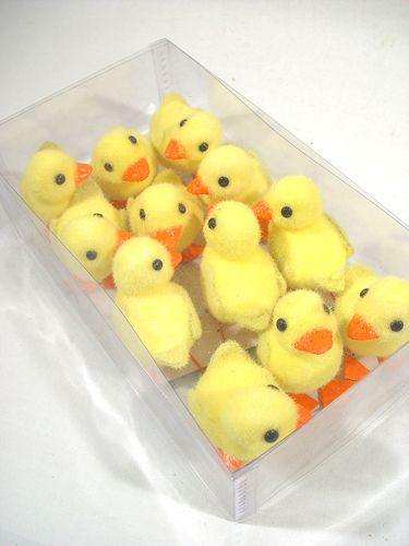 Floristik24 Chick m. Draadvoeten 8cm 12st. geel / oranje