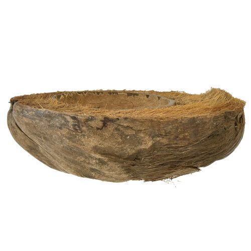 Floristik24 Kokosnoot als plantenschaal natuurlijke plantenpot 20cm 5 st