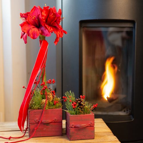 Artikel Kunst Amaryllis Kunstbloemen Rood Ø18cm L68cm 2st