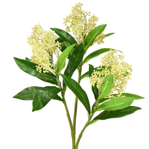 Floristik24 Kunstbloemen crème Skimmia japonica Skimmie 45cm 2st