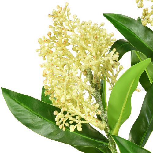 Artikel Kunstbloemen crème Skimmia japonica Skimmie 45cm 2st