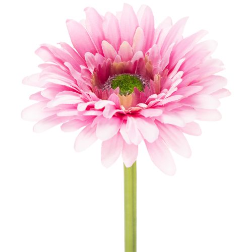 Kunstmatige gerbera's voor in de tuin, roze, 47 cm, 6 stuks kopen | Floristik24.nl