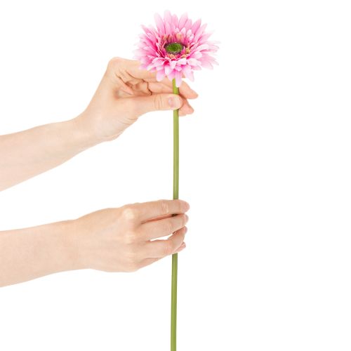 Kunstmatige gerbera's voor in de tuin, roze, 47 cm, 6 stuks | Floristik24.nl