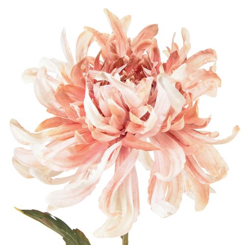 Artikel Kunstchrysanten Roze Mauve Ø13cm L72cm 2st