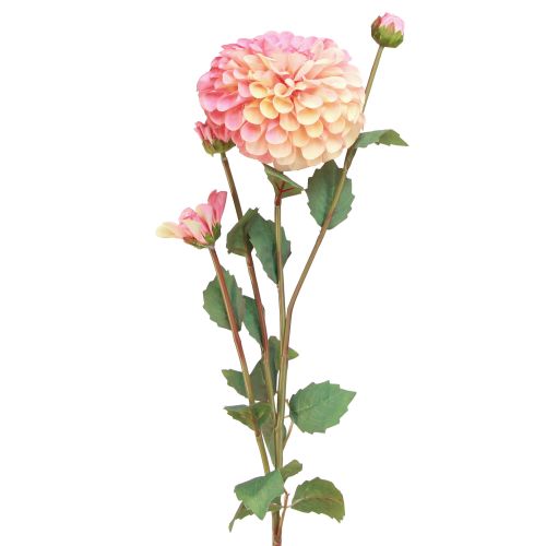 Artikel Kunstdahlia&#39;s in perzikroze Ø10cm L80cm 2st