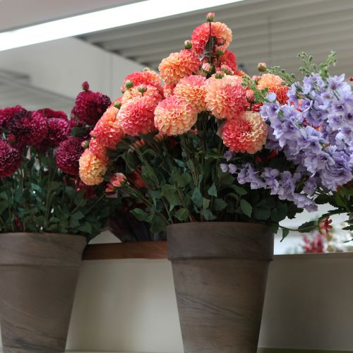 Artikel Kunstdahlia's in perzikroze Ø10cm L80cm 2 stuks