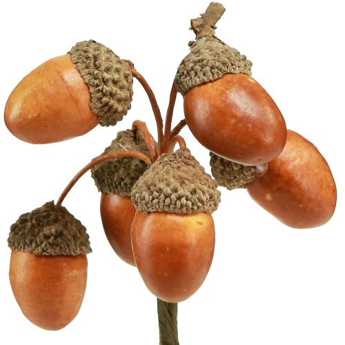 Floristik24 Kunst eikels op draad decoratie voor herfstkrans 3cm 6 st