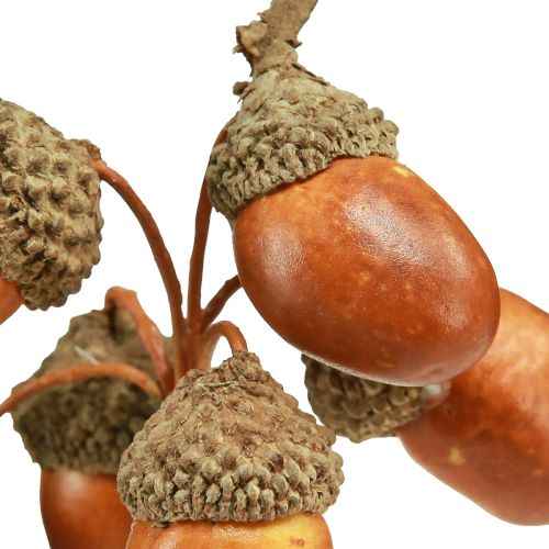 Floristik24 Kunst eikels op draad decoratie voor herfstkrans 3cm 6 st