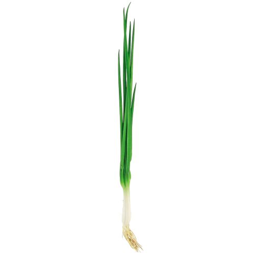 Artikel Kunst lente-uitjes decoratieve groenten L30cm 4 st