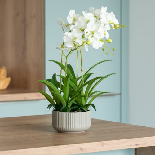 Floristik24 Kunstorchideeën kunstbloemen in pot wit 60cm