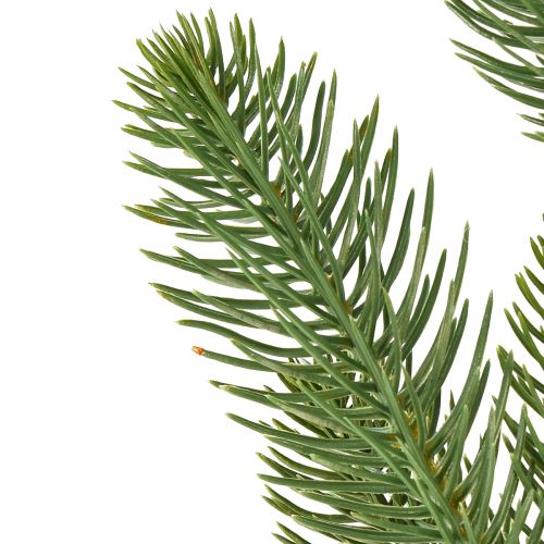 Floristik24 Kunstdennentakken dennenprikker in groen L50cm 3 st