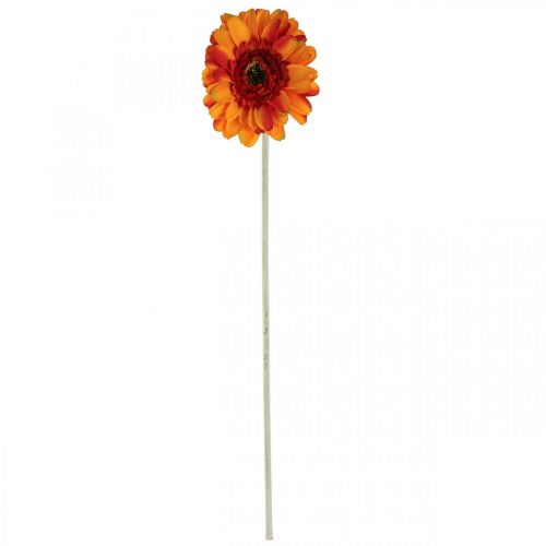 Artikel Gerbera kunstbloem, kunstbloem oranje Ø11cm 50cm
