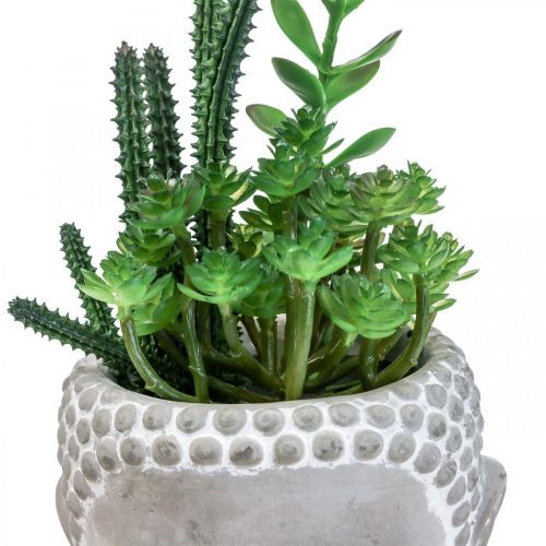 Floristik24 Kunst Succulent Bloempot Boeddha Ø12cm H24cm