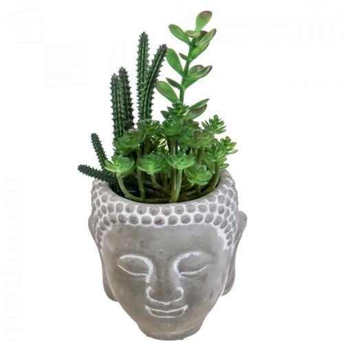 Floristik24 Kunst Succulent Bloempot Boeddha Ø12cm H24cm