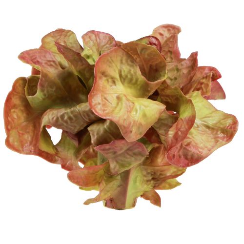 Floristik24 Kunstsla Lollo Rosso siersla krop Ø20cm