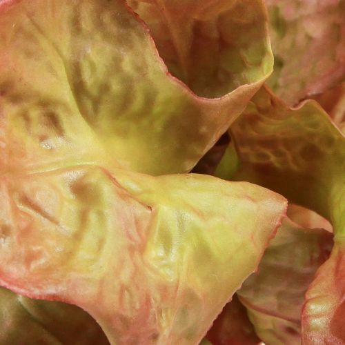 Artikel Kunstsla Lollo Rosso siersla krop Ø20cm