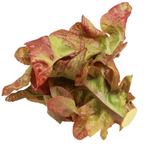 Artikel Kunstsla Lollo Rosso siersla krop Ø20cm