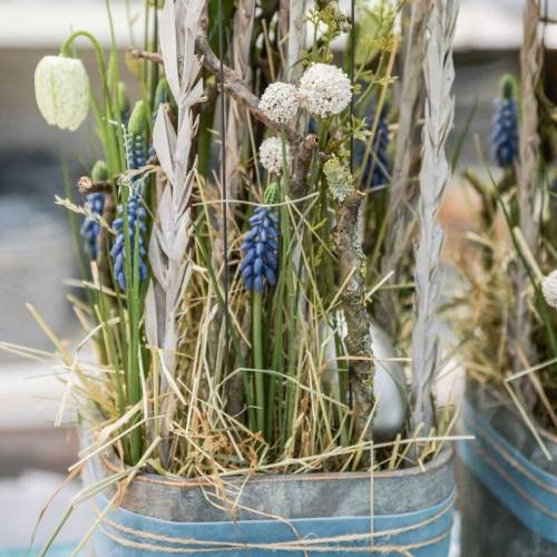 Floristik24 Kunstmatige drumstick witte craspedia bundel droogboeket 3st