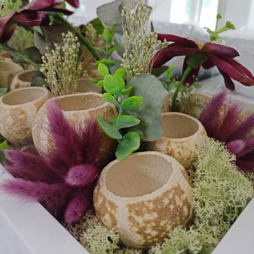 Artikel Pompoendecoratie Bell Cup Pompoen Cup gebleekt 50 st