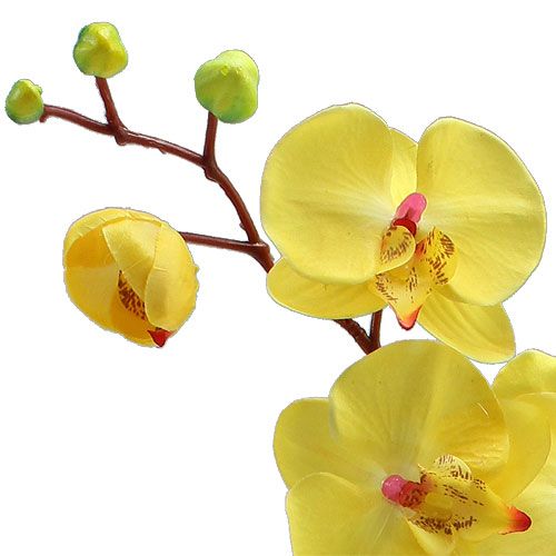 Artikel Orchidee kunst geel 68cm