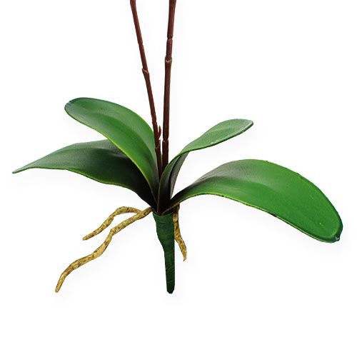 Floristik24 Orchidee kunst geel 68cm