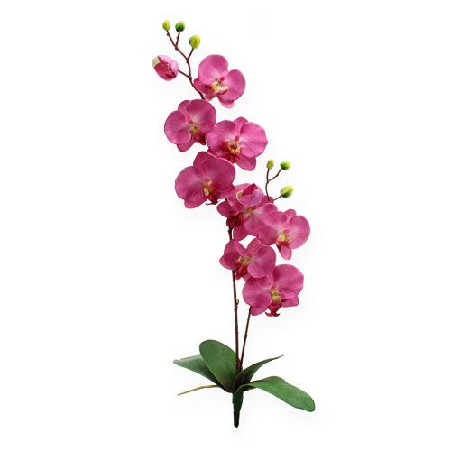 Floristik24 Kunstorchidee met bladeren Roze 68cm
