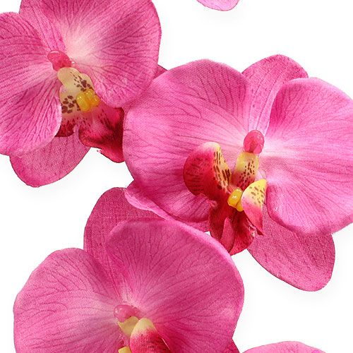 Floristik24 Kunstorchidee met bladeren Roze 68cm