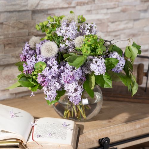 Artikel Bolvormige vaas Glazen vaas Heldere ronde tafelvaas Bloemenvaas Ø15,5cm H12,5cm
