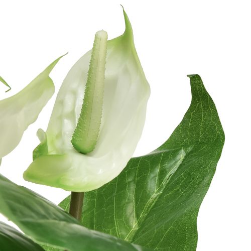 Artikel Kunstbloemen, flamingobloem, kunstanthurium wit 36cm
