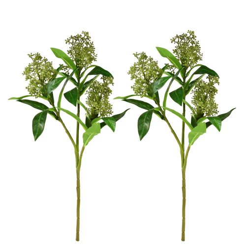 Artikel Kunstbloemen groen Skimmia japonica Skimmie 45cm 2st