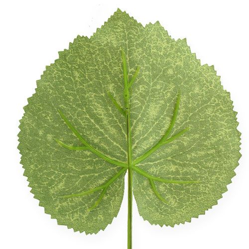 Floristik24 Decoratie plant bladeren Galax B10cm L22cm 24st
