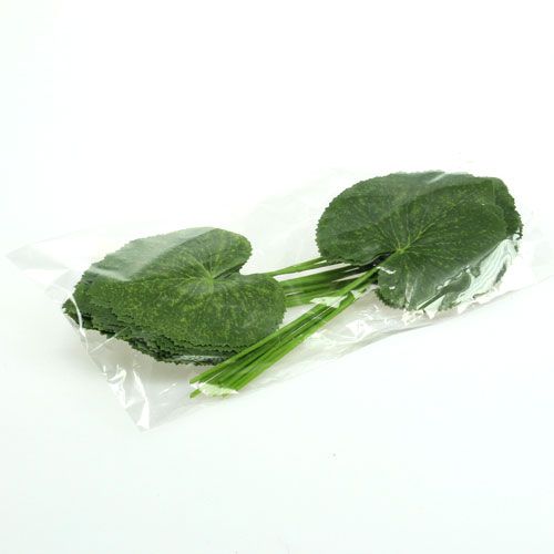 Floristik24 Decoratie plant bladeren Galax B10cm L22cm 24st