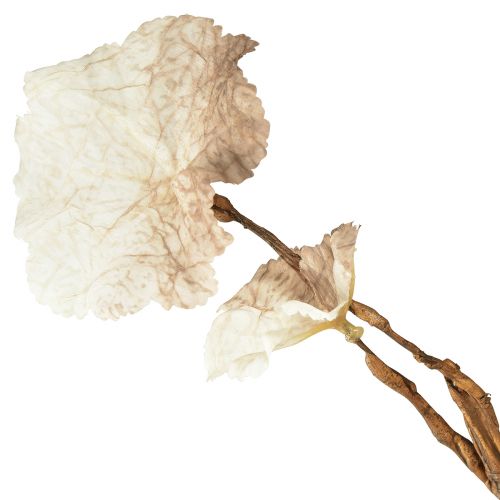 Artikel Kunstherfst Heuchera Tak Kunstbruin Crème L85cm