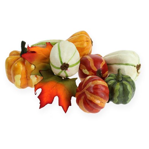 Pompoenmix gekleurd 12st | Floristik24.nl