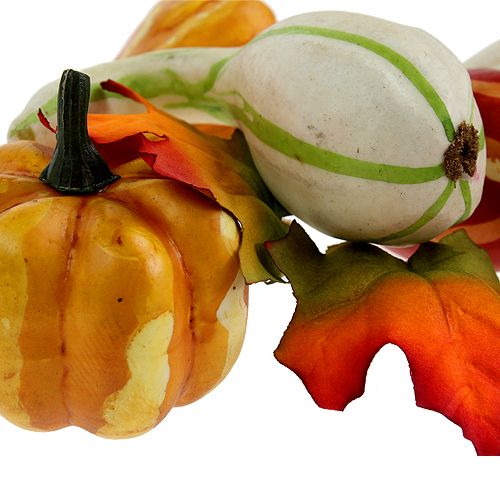 Pompoenmix gekleurd 12st | Floristik24.nl