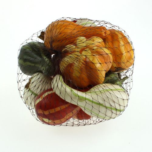 Pompoenmix gekleurd 12st | Floristik24.nl