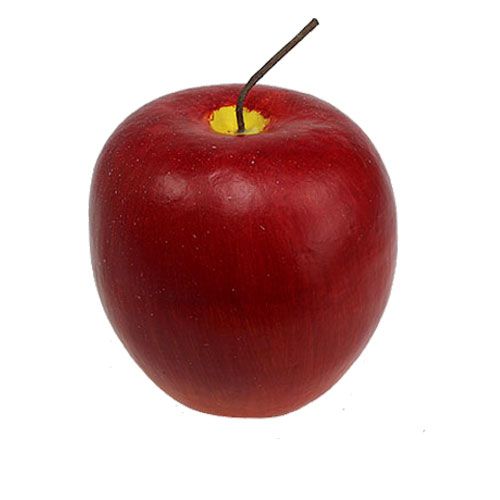 Floristik24 Appelgala rood 20cm