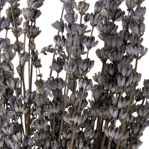 Artikel Lavendel gedroogde geurende gedroogde bloemen 35-40cm 50g