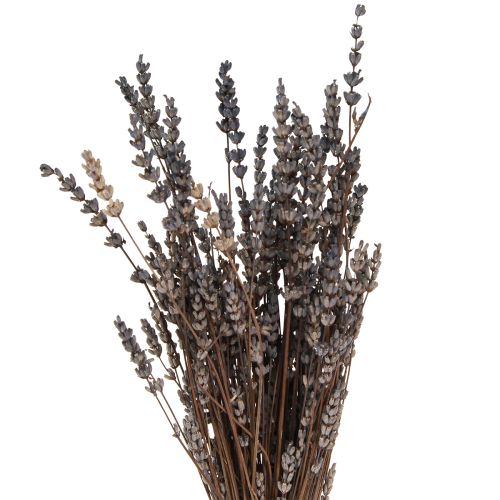 Artikel Lavendel gedroogde geurige gedroogde bloemen 35-40cm 50g