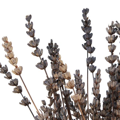 Artikel Lavendel gedroogde geurige gedroogde bloemen 35-40cm 50g