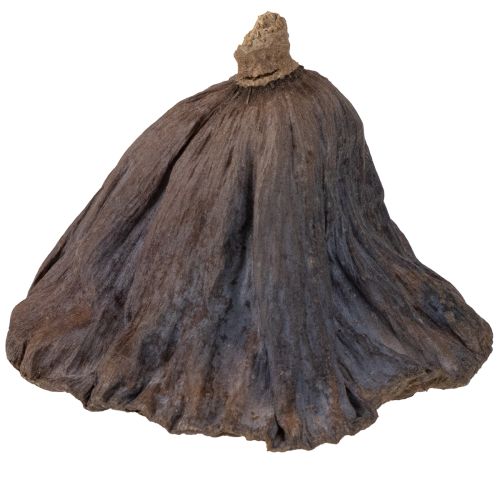 Artikel Lotusbol groot 100 stuks naturel