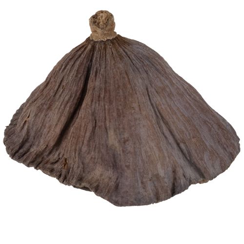 Artikel Lotusbol klein 100 stuks naturel